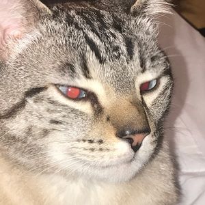 Meet your Posher, Arthur